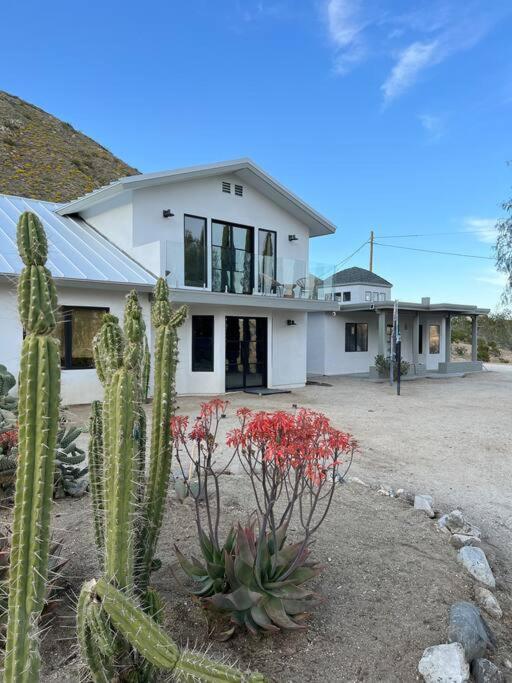 Two Pepper Ranch - A Desert Oasis Morongo Valley Extérieur photo